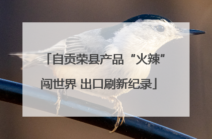 自贡荣县产品“火辣”闯世界 出口刷新纪录