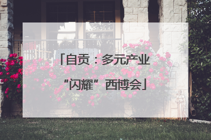 自贡：多元产业“闪耀”西博会
