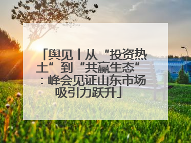 舆见丨从“投资热土”到“共赢生态”：峰会见证山东市场吸引力跃升