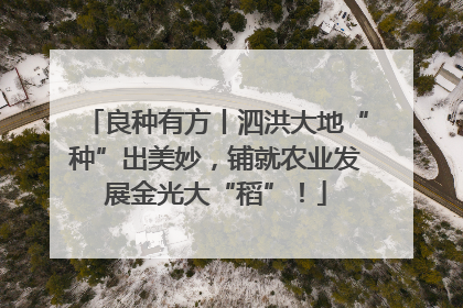 良种有方丨泗洪大地“种”出美妙，铺就农业发展金光大“稻”！