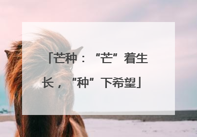 芒种：“芒”着生长，“种”下希望