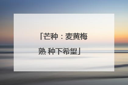 芒种：麦黄梅熟 种下希望