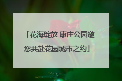 花海绽放 康庄公园邀您共赴花园城市之约