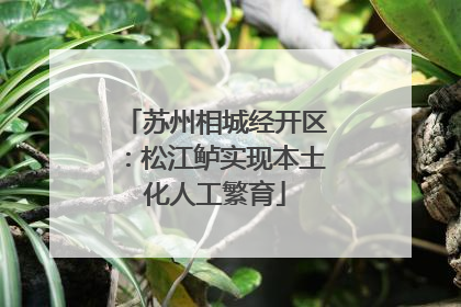 苏州相城经开区：松江鲈实现本土化人工繁育