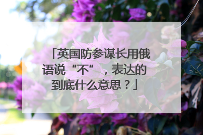 英国防参谋长用俄语说“不”，表达的到底什么意思？