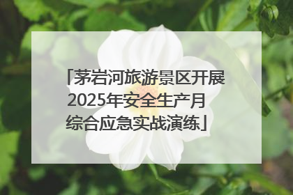 茅岩河旅游景区开展2025年安全生产月综合应急实战演练