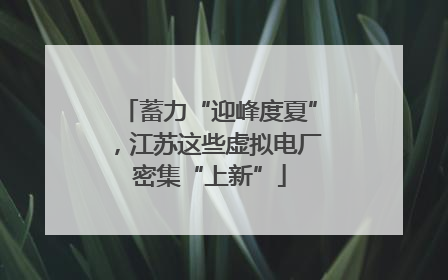 蓄力“迎峰度夏”，江苏这些虚拟电厂密集“上新”