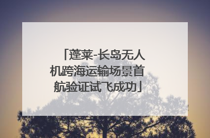 蓬莱-长岛无人机跨海运输场景首航验证试飞成功