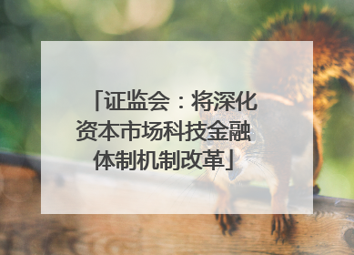 证监会：将深化资本市场科技金融体制机制改革