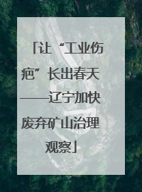 让“工业伤疤”长出春天——辽宁加快废弃矿山治理观察
