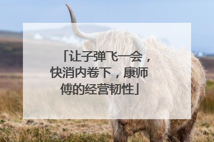 让子弹飞一会，快消内卷下，康师傅的经营韧性