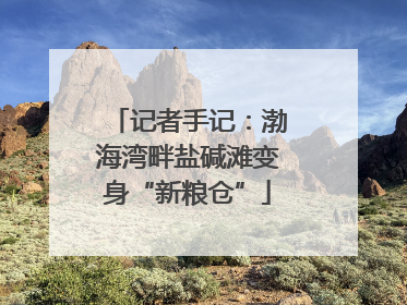 记者手记：渤海湾畔盐碱滩变身“新粮仓”