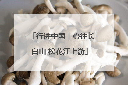 行进中国丨心往长白山 松花江上游