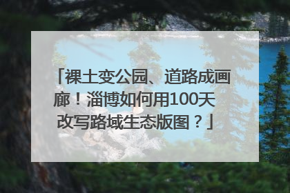 裸土变公园、道路成画廊！淄博如何用100天改写路域生态版图？