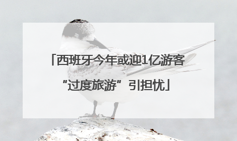 西班牙今年或迎1亿游客 “过度旅游”引担忧