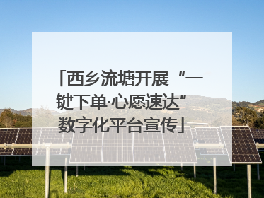 西乡流塘开展“一键下单·心愿速达”数字化平台宣传