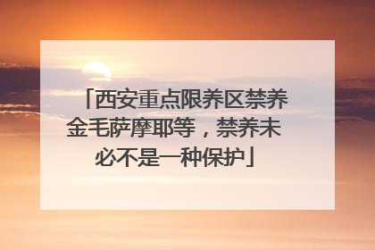 西安重点限养区禁养金毛萨摩耶等，禁养未必不是一种保护