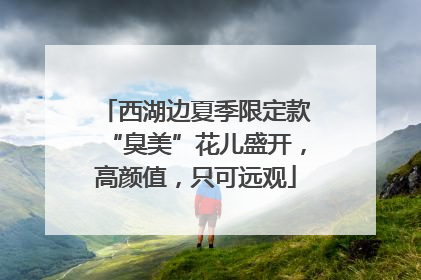 西湖边夏季限定款“臭美”花儿盛开，高颜值，只可远观