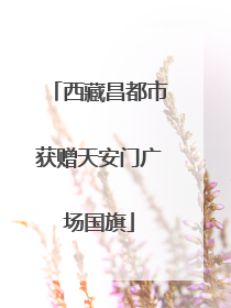 西藏昌都市获赠天安门广场国旗