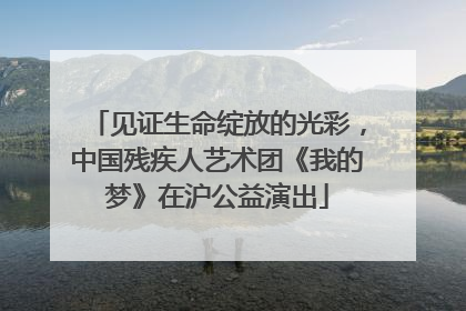 见证生命绽放的光彩，中国残疾人艺术团《我的梦》在沪公益演出