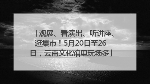 观展、看演出、听讲座、逛集市！5月20日至26日，云南文化馆里玩场多