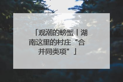 观潮的螃蟹丨湖南这里的村庄“合并同类项”