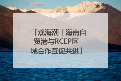 观海潮｜海南自贸港与RCEP区域合作互促共进