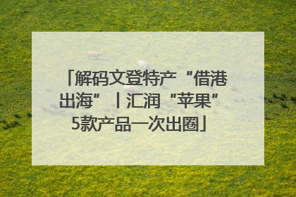 解码文登特产“借港出海”丨汇润“苹果”5款产品一次出圈