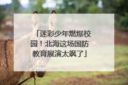 迷彩少年燃爆校园！北海这场国防教育展演太飒了
