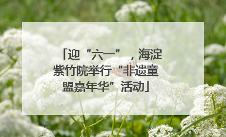 迎“六一”，海淀紫竹院举行“非遗童盟嘉年华”活动