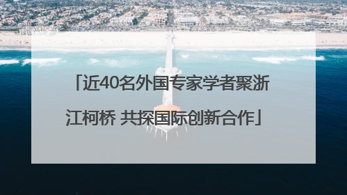 近40名外国专家学者聚浙江柯桥 共探国际创新合作