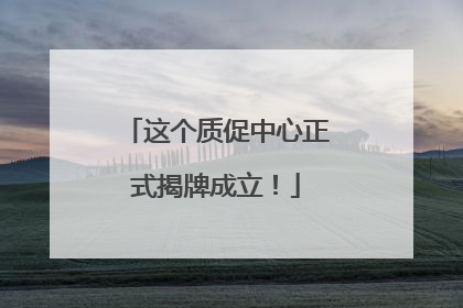 这个质促中心正式揭牌成立！