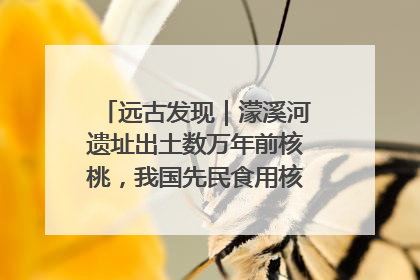 远古发现｜濛溪河遗址出土数万年前核桃，我国先民食用核桃历史大幅提前