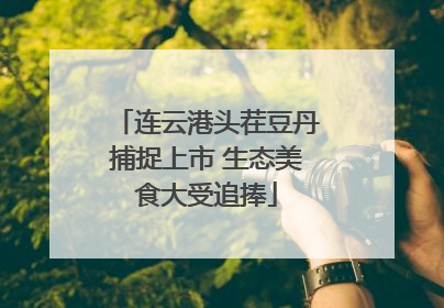 连云港头茬豆丹捕捉上市 生态美食大受追捧