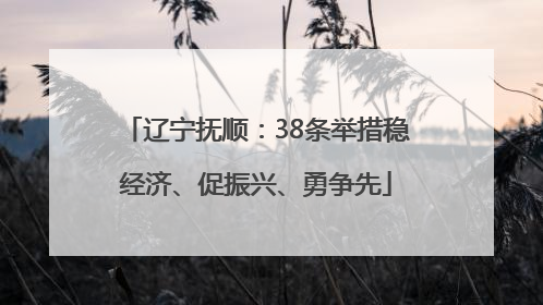 辽宁抚顺：38条举措稳经济、促振兴、勇争先