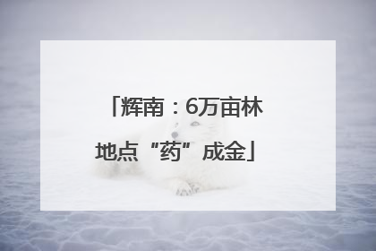 辉南：6万亩林地点“药”成金