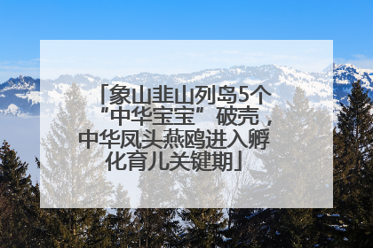 象山韭山列岛5个“中华宝宝”破壳，中华凤头燕鸥进入孵化育儿关键期