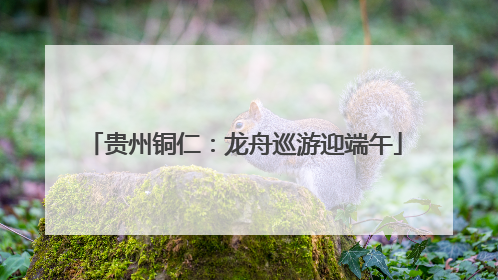 贵州铜仁：龙舟巡游迎端午