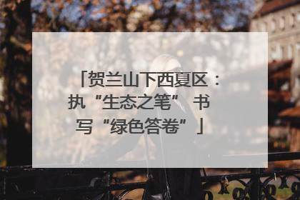 贺兰山下西夏区：执“生态之笔” 书写“绿色答卷”
