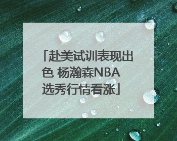 赴美试训表现出色 杨瀚森NBA选秀行情看涨