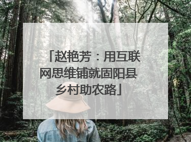 赵艳芳：用互联网思维铺就固阳县乡村助农路