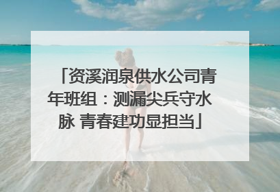 资溪润泉供水公司青年班组：测漏尖兵守水脉 青春建功显担当