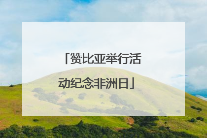 赞比亚举行活动纪念非洲日