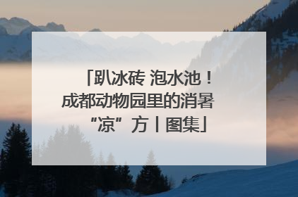 趴冰砖 泡水池！成都动物园里的消暑“凉”方丨图集