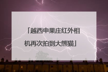 越西申果庄红外相机再次拍到大熊猫