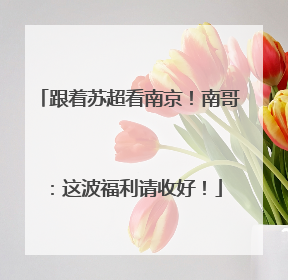 跟着苏超看南京！南哥：这波福利请收好！