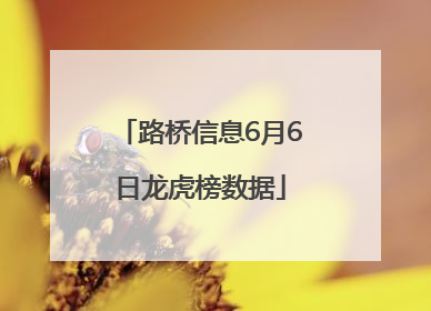 路桥信息6月6日龙虎榜数据