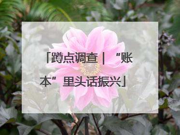 蹲点调查｜“账本”里头话振兴
