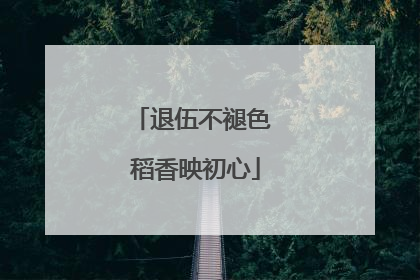 退伍不褪色 稻香映初心