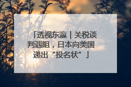 透视东瀛｜关税谈判遇阻，日本向美国递出“投名状”